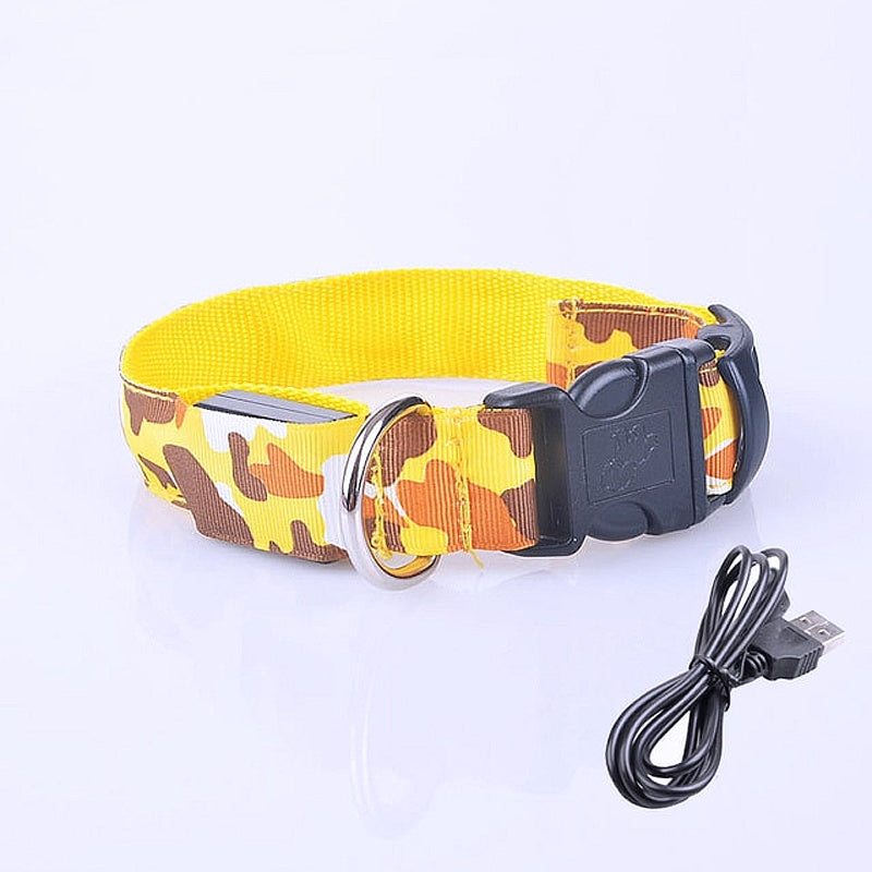 LED Rechargeable Dog Safety Collar - My Puppy Fresh