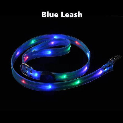 LED Light Up Dog Leash - Safety and Style Combined - My Puppy Fresh