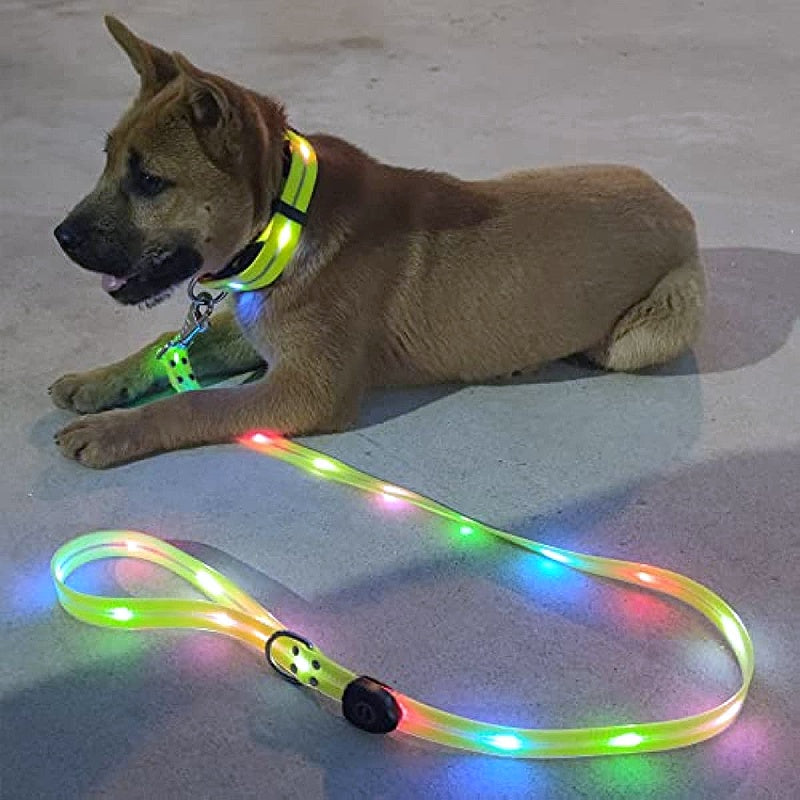 LED Light Up Dog Leash - Safety and Style Combined - My Puppy Fresh