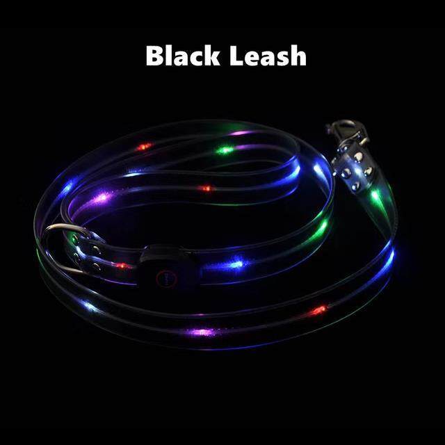 LED Light Up Dog Leash - Safety and Style Combined - My Puppy Fresh