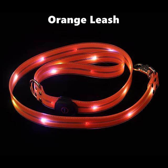 LED Light Up Dog Leash - Safety and Style Combined - My Puppy Fresh