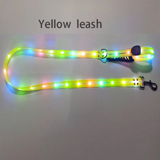 LED Light Up Dog Leash - Safety and Style Combined - My Puppy Fresh