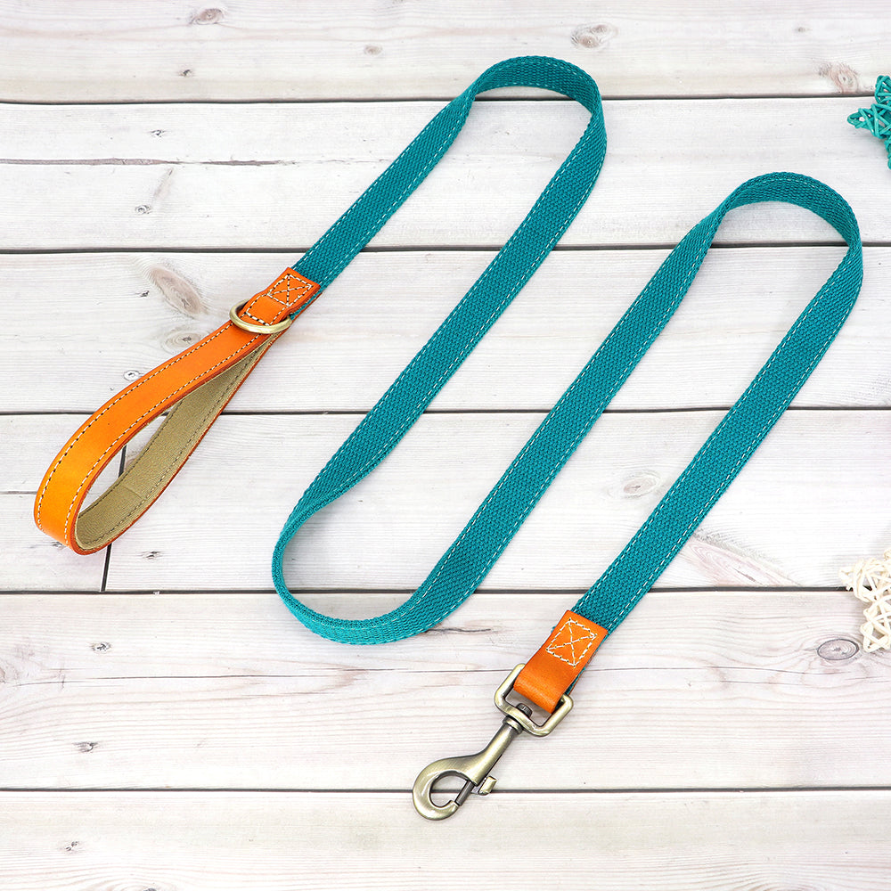 Matching Nylon Leather Dog Leash - My Puppy Fresh