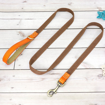 Matching Nylon Leather Dog Leash - My Puppy Fresh