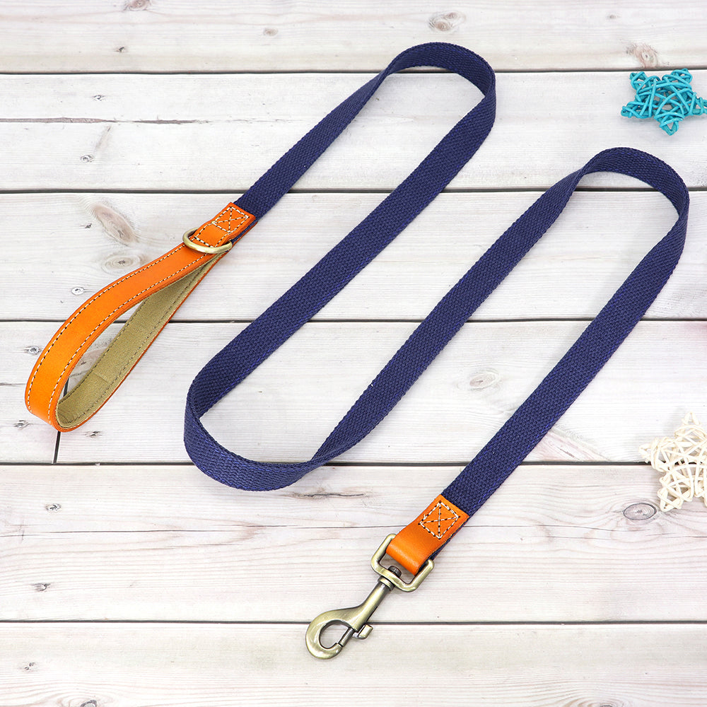 Matching Nylon Leather Dog Leash - My Puppy Fresh