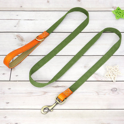 Matching Nylon Leather Dog Leash - My Puppy Fresh