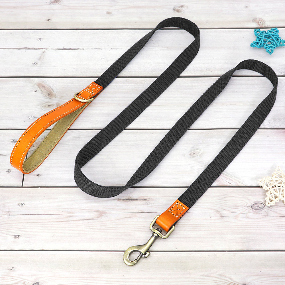 Matching Nylon Leather Dog Leash - My Puppy Fresh