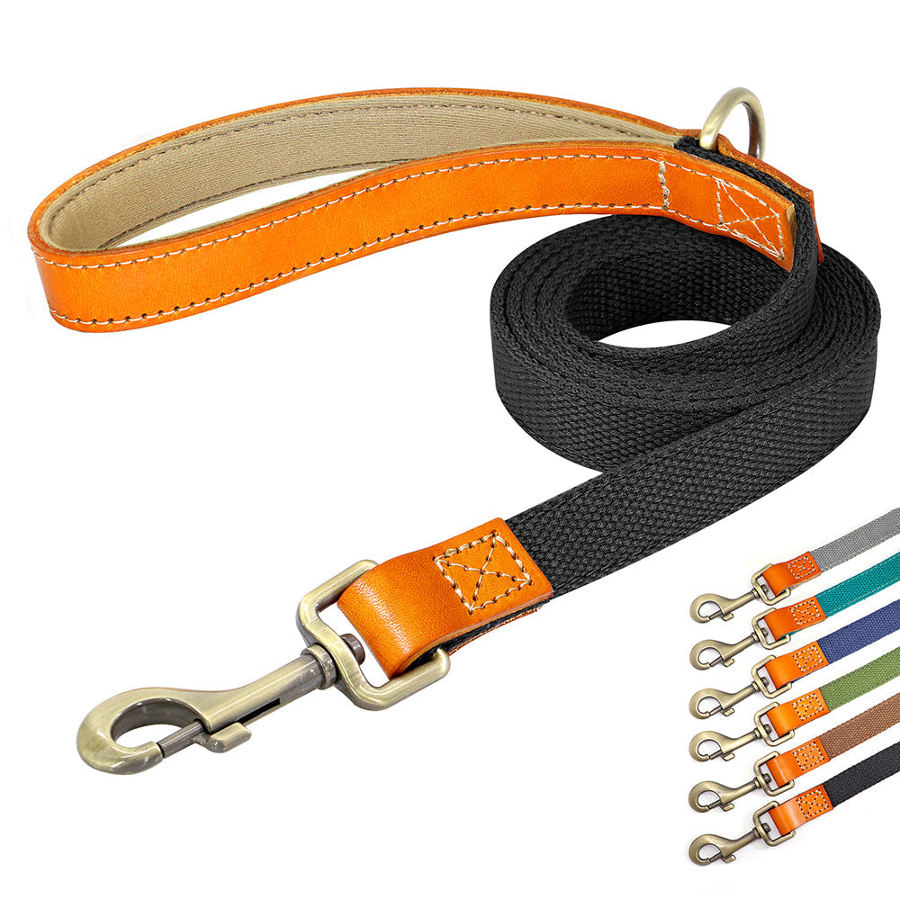 Matching Nylon Leather Dog Leash - My Puppy Fresh