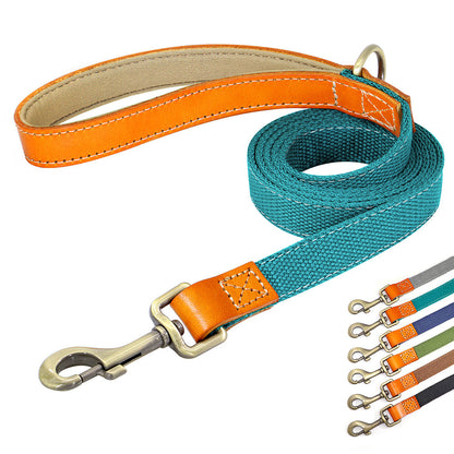 Matching Nylon Leather Dog Leash - My Puppy Fresh