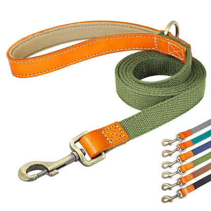 Matching Nylon Leather Dog Leash - My Puppy Fresh