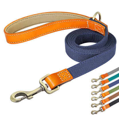 Matching Nylon Leather Dog Leash - My Puppy Fresh