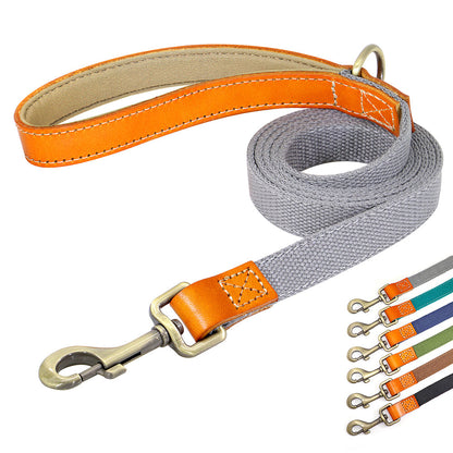 Matching Nylon Leather Dog Leash - My Puppy Fresh