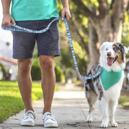 Matching Nylon Dog Leash - My Puppy Fresh