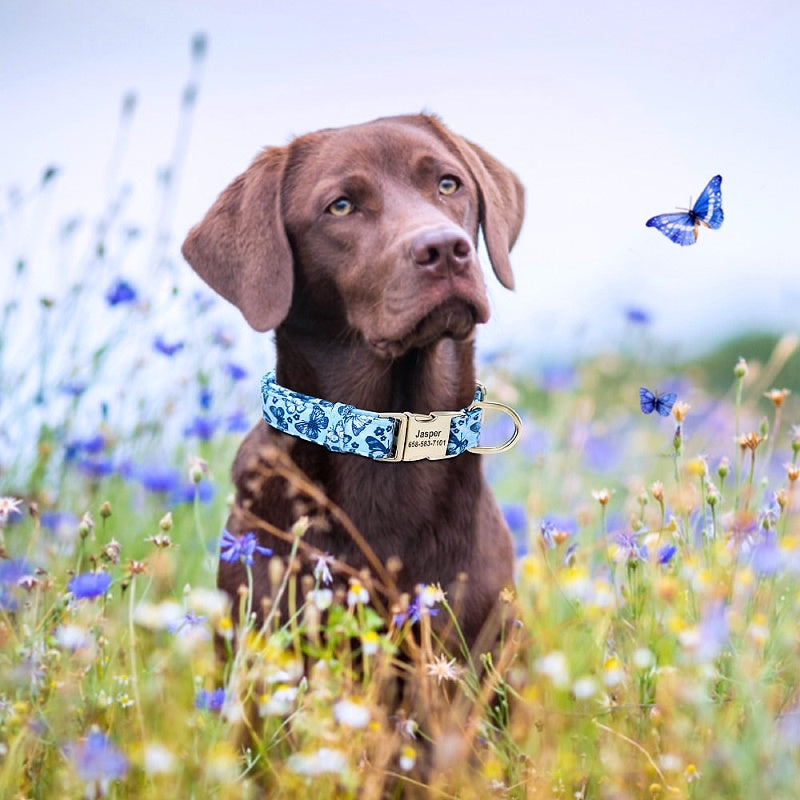 Buzzy Floral Personalized Nylon Dog Collar - My Puppy Fresh