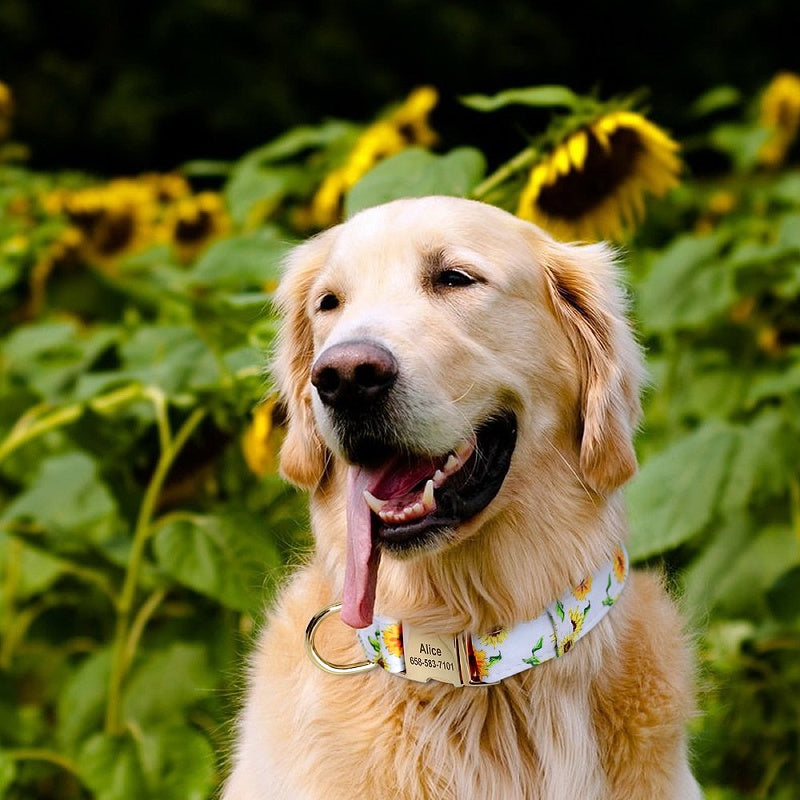 Buzzy Floral Personalized Nylon Dog Collar - My Puppy Fresh