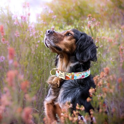 Buzzy Floral Personalized Nylon Dog Collar - My Puppy Fresh