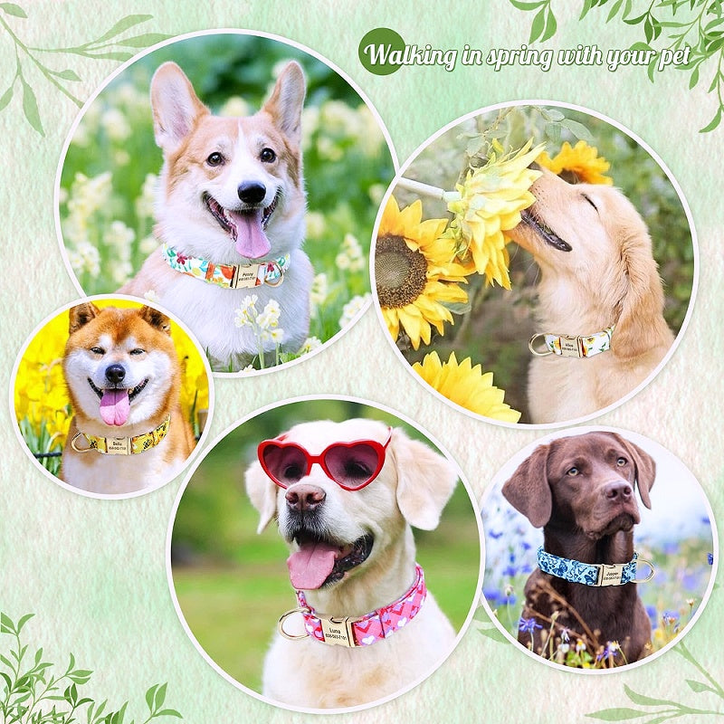 Buzzy Floral Personalized Nylon Dog Collar - My Puppy Fresh