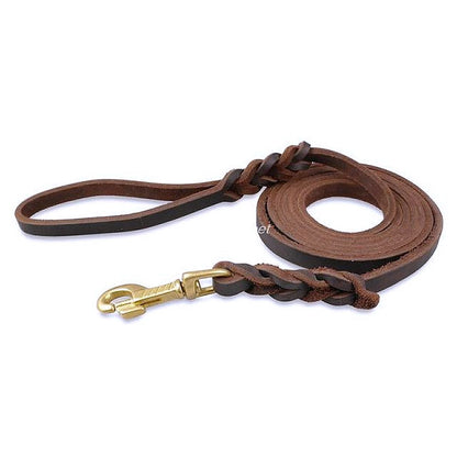 Durable Braided Leather Dog Leash - My Puppy Fresh