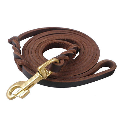 Durable Braided Leather Dog Leash - My Puppy Fresh