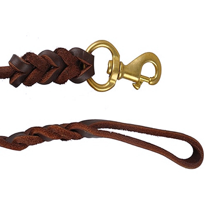 Durable Braided Leather Dog Leash - My Puppy Fresh