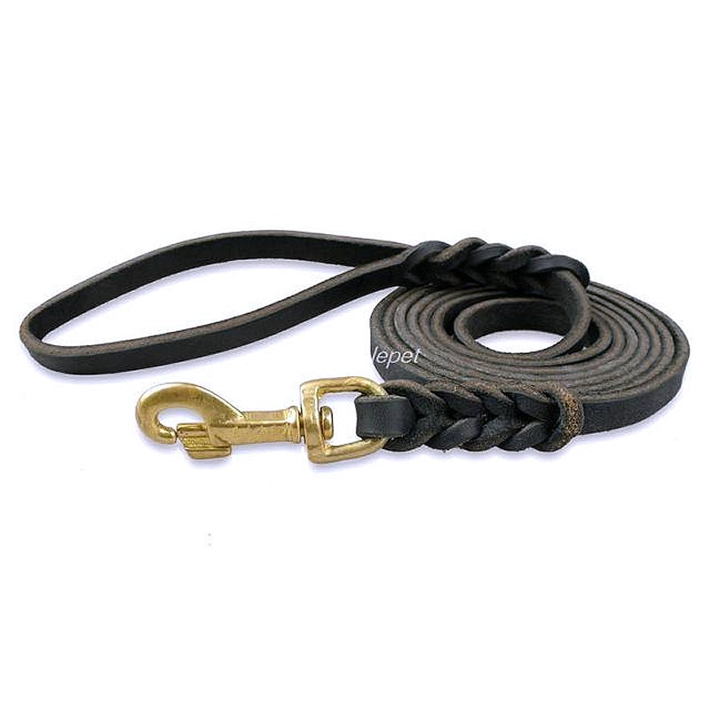 Durable Braided Leather Dog Leash - My Puppy Fresh