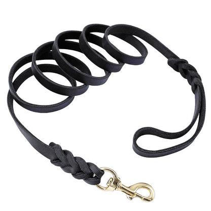 Durable Braided Leather Dog Leash - My Puppy Fresh