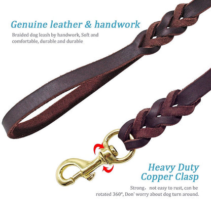 Durable Braided Leather Dog Leash - My Puppy Fresh