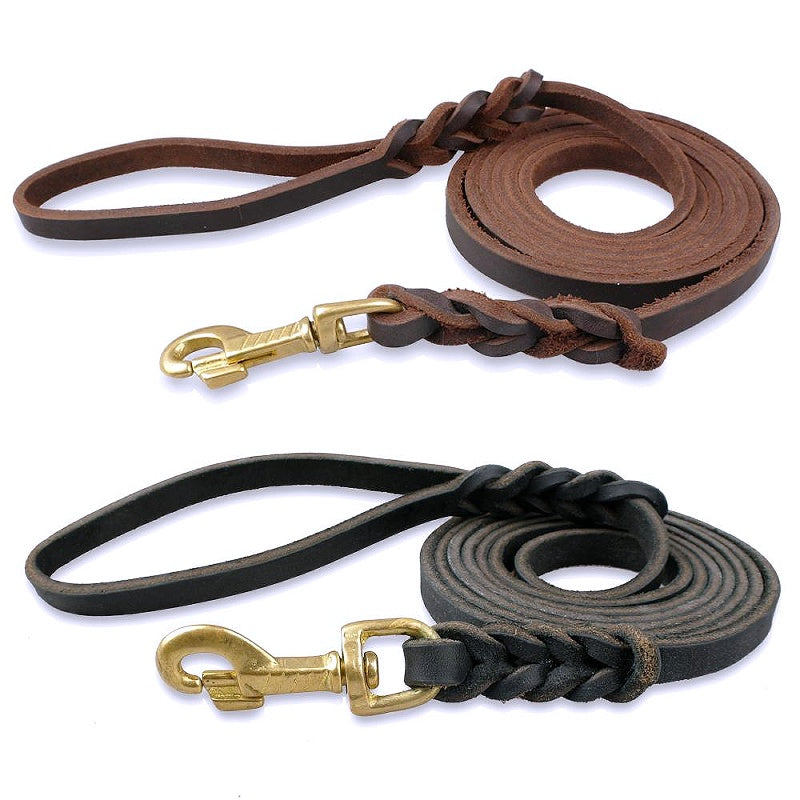 Durable Braided Leather Dog Leash - My Puppy Fresh