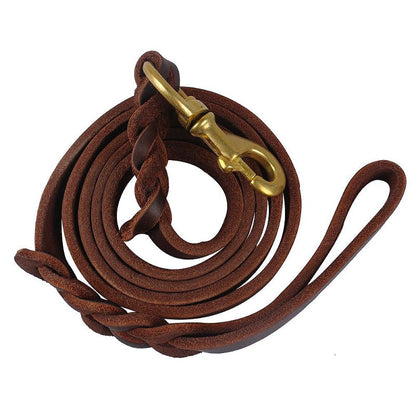 Durable Braided Leather Dog Leash - My Puppy Fresh