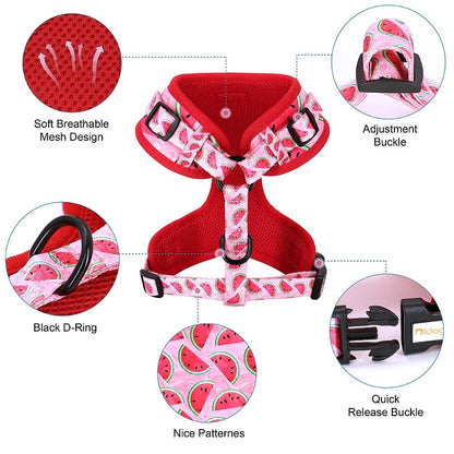 Nylon Dog Collar Harness Leash Set with Waste Bag - My Puppy Fresh