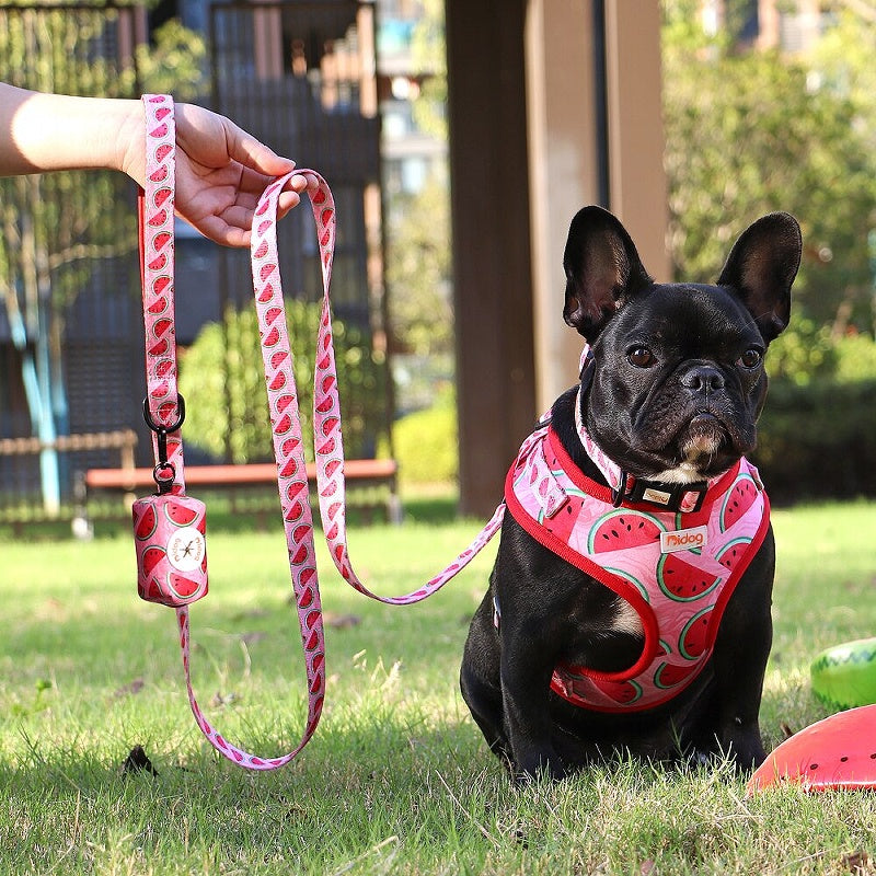 Nylon Dog Collar Harness Leash Set with Waste Bag - My Puppy Fresh