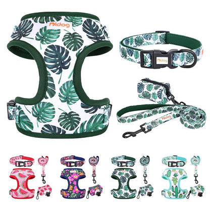 Nylon Dog Collar Harness Leash Set with Waste Bag - My Puppy Fresh