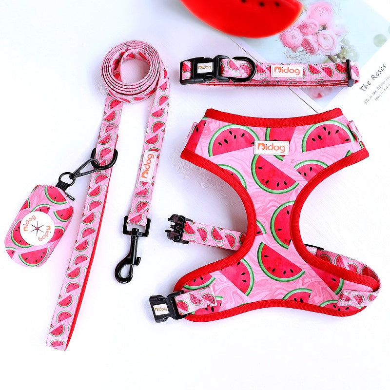 Nylon Dog Collar Harness Leash Set with Waste Bag - My Puppy Fresh