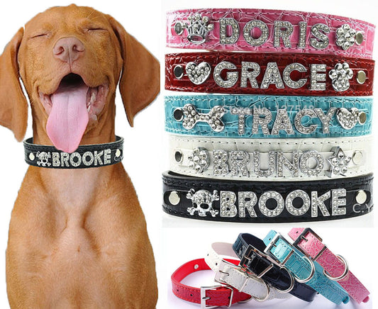 Personalized Charm Collar - My Puppy Fresh