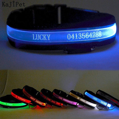 Personalized Glow Dark Dog Collar - My Puppy Fresh