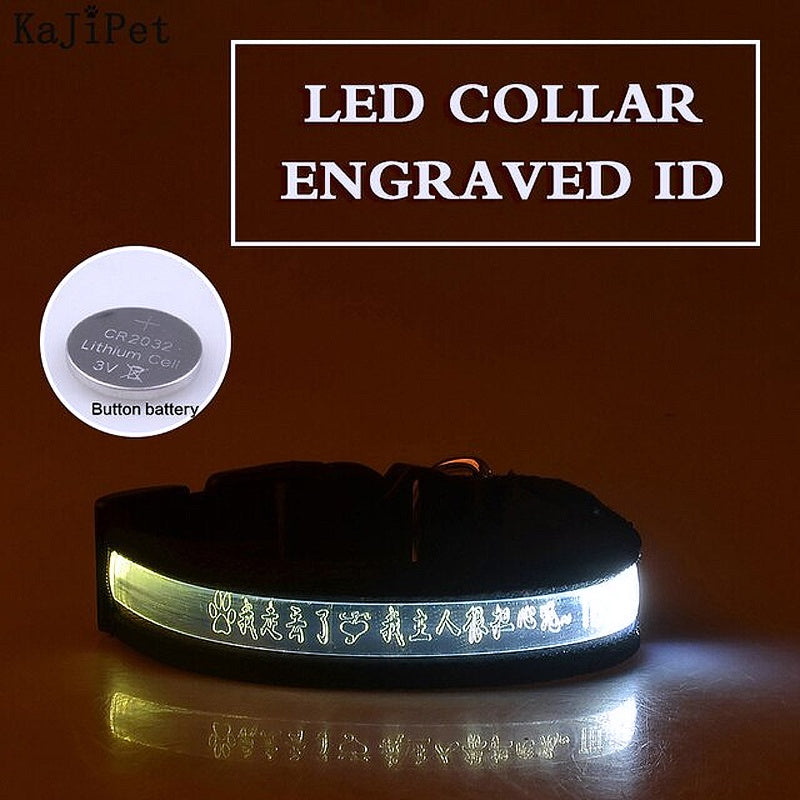 Personalized Glow Dark Dog Collar - My Puppy Fresh