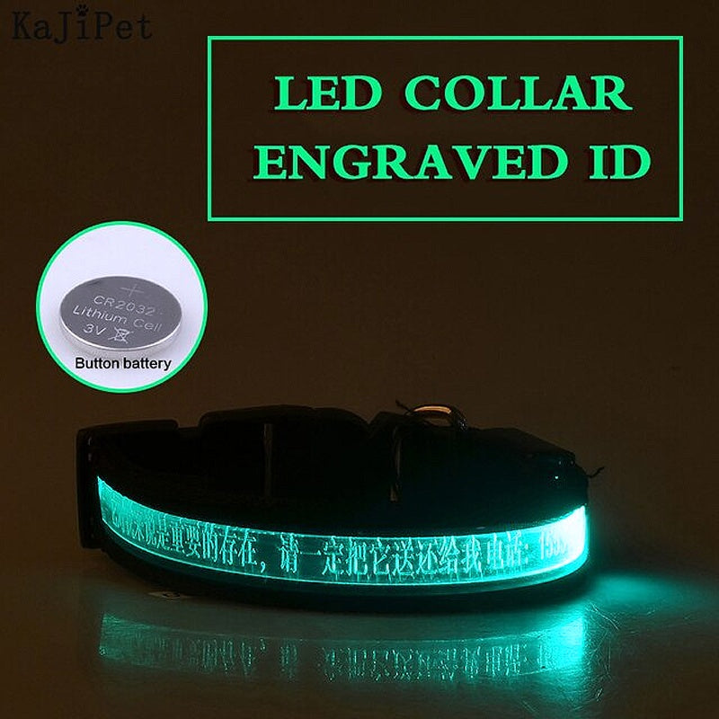 Personalized Glow Dark Dog Collar - My Puppy Fresh