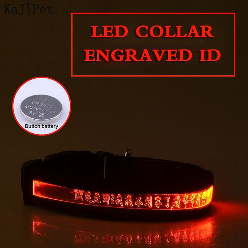 Personalized Glow Dark Dog Collar - My Puppy Fresh