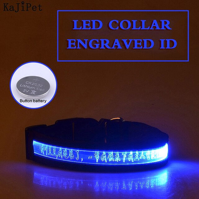 Personalized Glow Dark Dog Collar - My Puppy Fresh