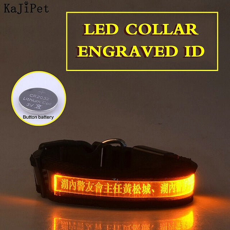 Personalized Glow Dark Dog Collar - My Puppy Fresh