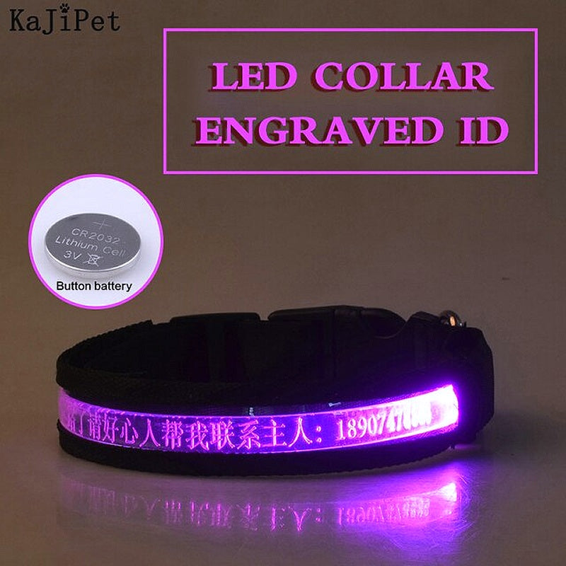 Personalized Glow Dark Dog Collar - My Puppy Fresh