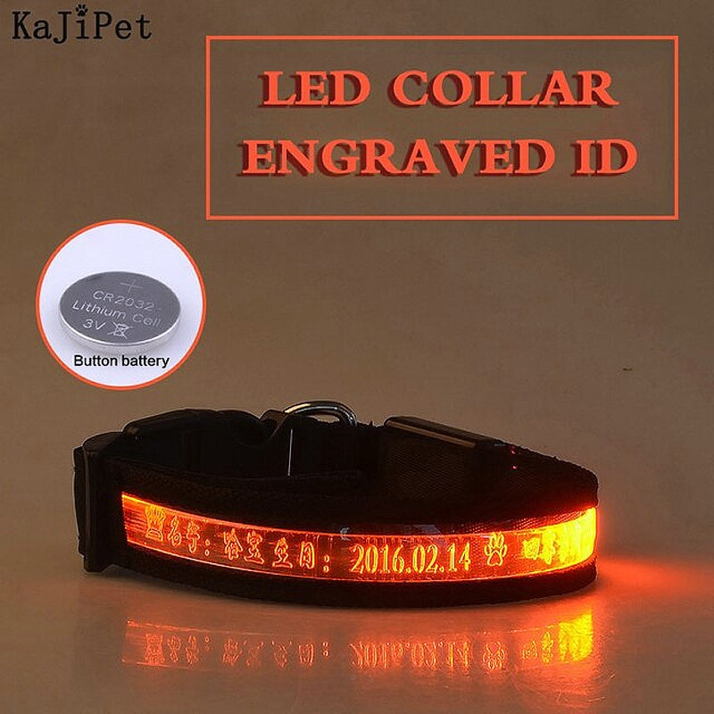 Personalized Glow Dark Dog Collar - My Puppy Fresh