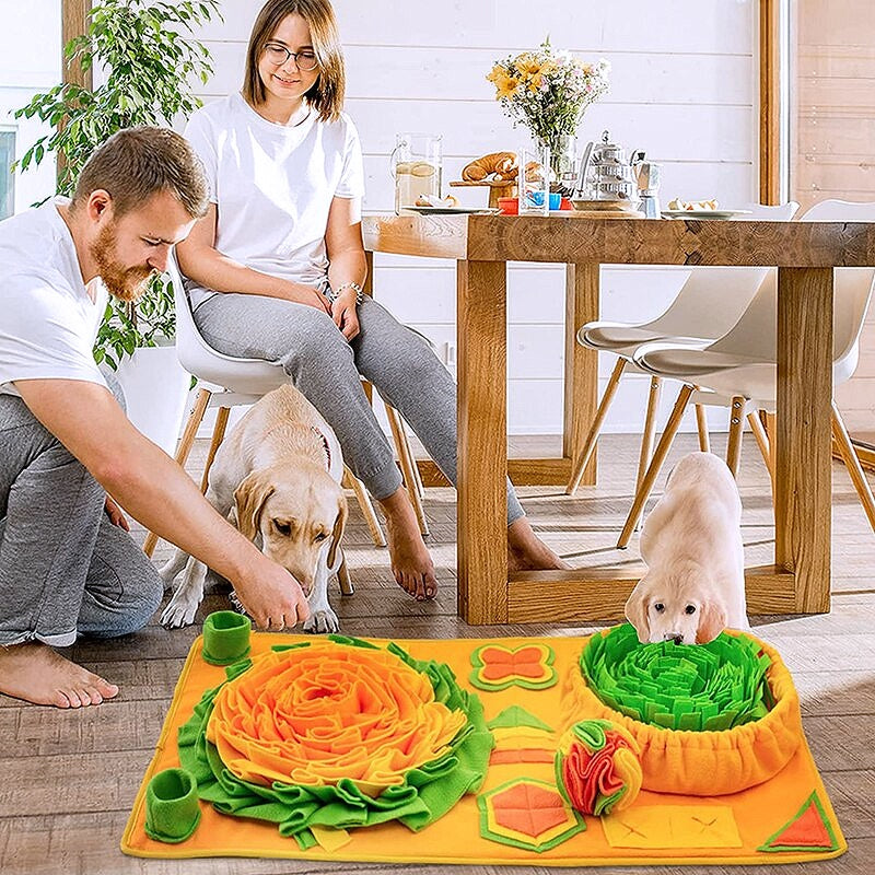 Engaging Dog Puzzle Toy Mat Feeder - My Puppy Fresh