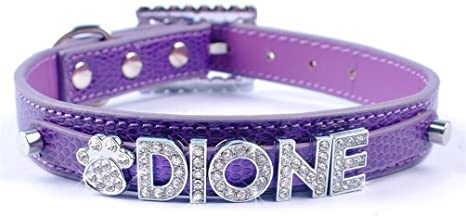 Personalized Charm Collar - My Puppy Fresh