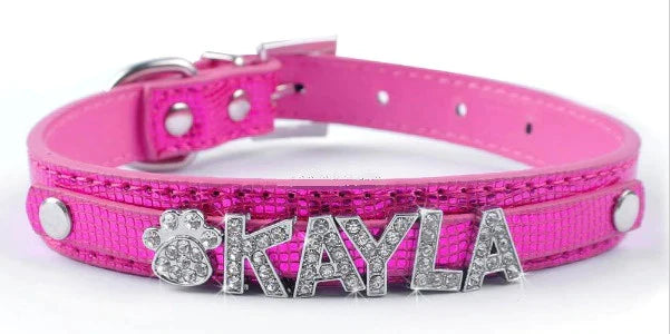 Personalized Charm Collar - My Puppy Fresh