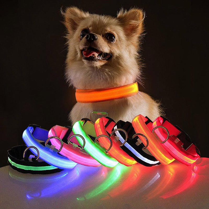 USB Charging LED Dog Collar - My Puppy Fresh