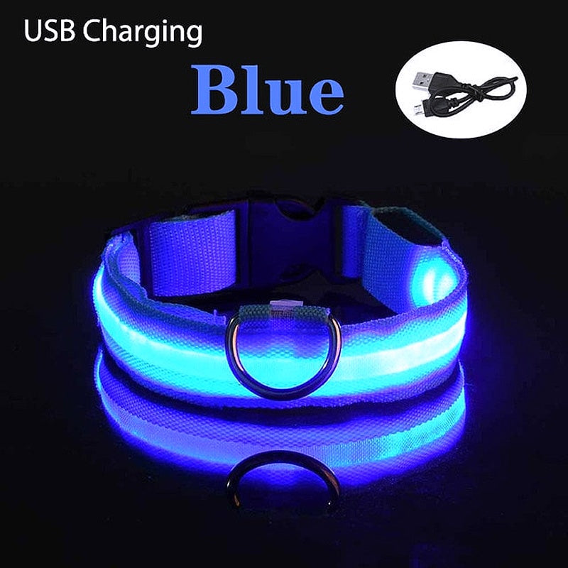 USB Charging LED Dog Collar - My Puppy Fresh