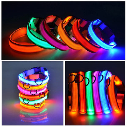 USB Charging LED Dog Collar - My Puppy Fresh