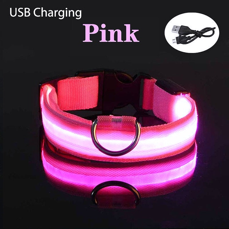 USB Charging LED Dog Collar - My Puppy Fresh