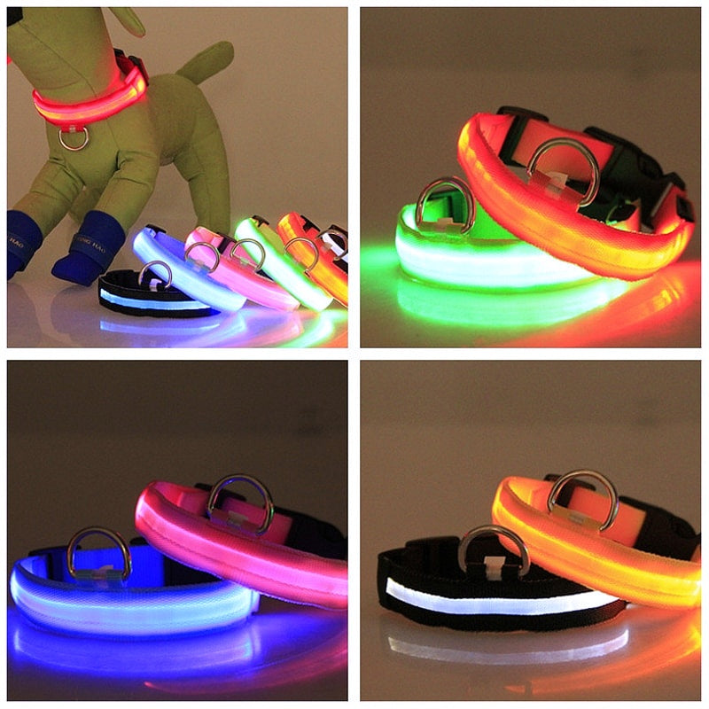 USB Charging LED Dog Collar - My Puppy Fresh